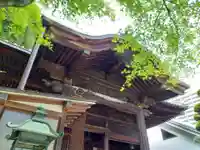 十善寺の本殿・本堂