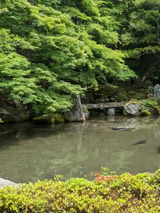 蓮華寺(洛北蓮華寺)(京都府)