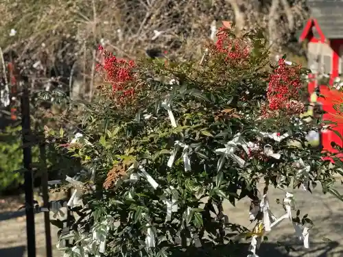 柳津虚空蔵尊 寳性院の{uncategorized: "未分類", other: "その他", undefined: "問題あり", building: "その他建物", grave: "お墓", sacred_gate: "鳥居", guardian: "狛犬", statue: "像", buddha: "仏像", history: "歴史", nature: "自然", garden: "庭園", animal: "動物", pagoda: "塔", temizu: "手水舎", mountain_gate: "山門・神門", sanctuary: "本殿・本堂", subordinate: "末社・摂社", art: "芸術", scenery: "景色", jizo: "地蔵", ema: "絵馬", goshuin: "御朱印", omikuji: "おみくじ", items: "授与品その他", amulet: "お守り", goshuincho: "御朱印帳", eats: "食事", festival: "お祭り", votive_dance: "神楽", shichigosan: "七五三参", wedding: "結婚式", experience: "体験その他", initially: "初詣", around: "周辺", anti_infection: "感染症対策"}