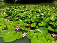 大徳寺(宮城県)