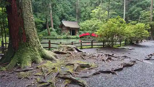 小國神社(静岡県)