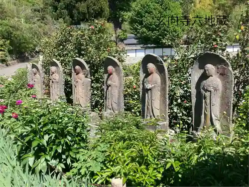 玄向寺(長野県)