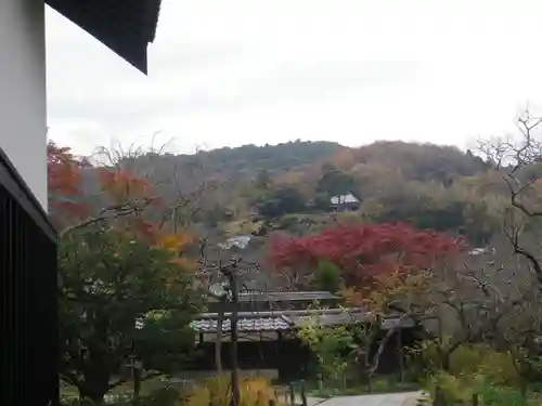 東慶寺の景色