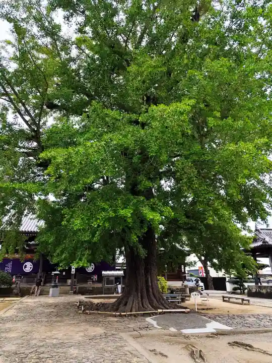 地蔵寺(徳島県)