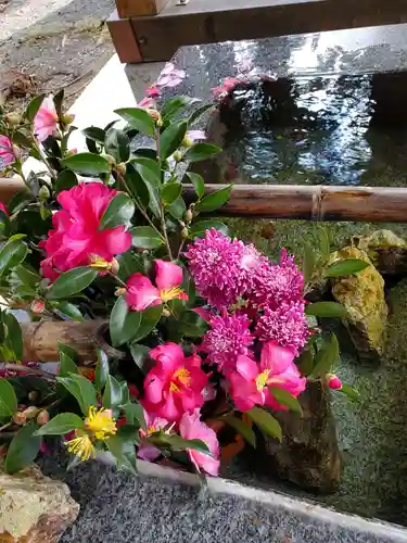 高司神社〜むすびの神の鎮まる社〜の手水