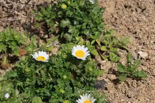 大鏑神社の庭園