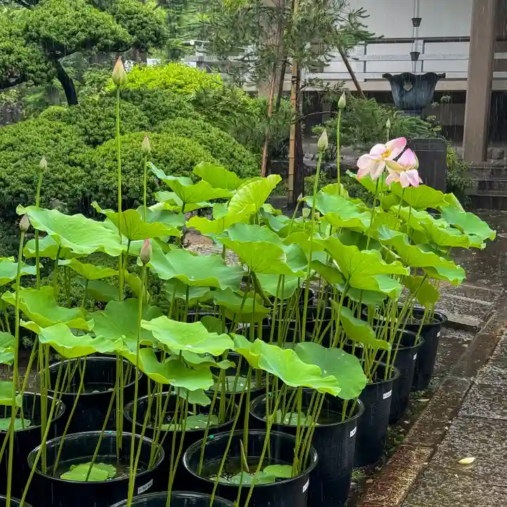 長昌寺(東京都)