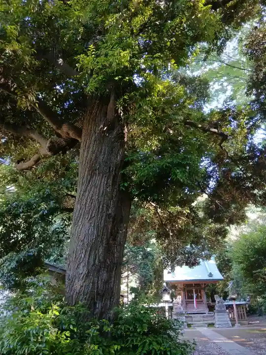 須賀神社(千葉県)