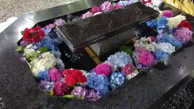 新琴似神社(北海道)