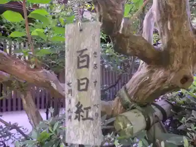 長谷寺のその他建物