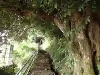 金剱神社の自然