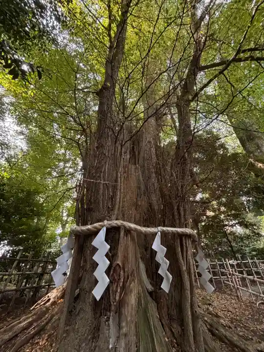大國魂神社(東京都)