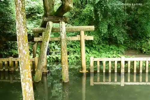 奥宮(鹿島神宮摂社)の鳥居