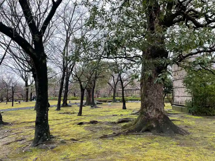 東寺(教王護国寺)(京都府)