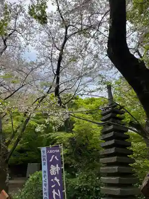 石清水八幡宮(京都府)