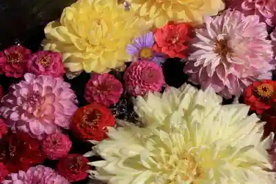 大鏑神社の手水舎