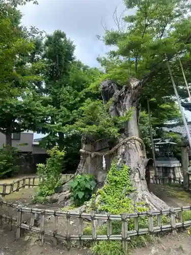 有礒正八幡宮(富山県)
