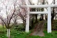 神恵川神社の鳥居