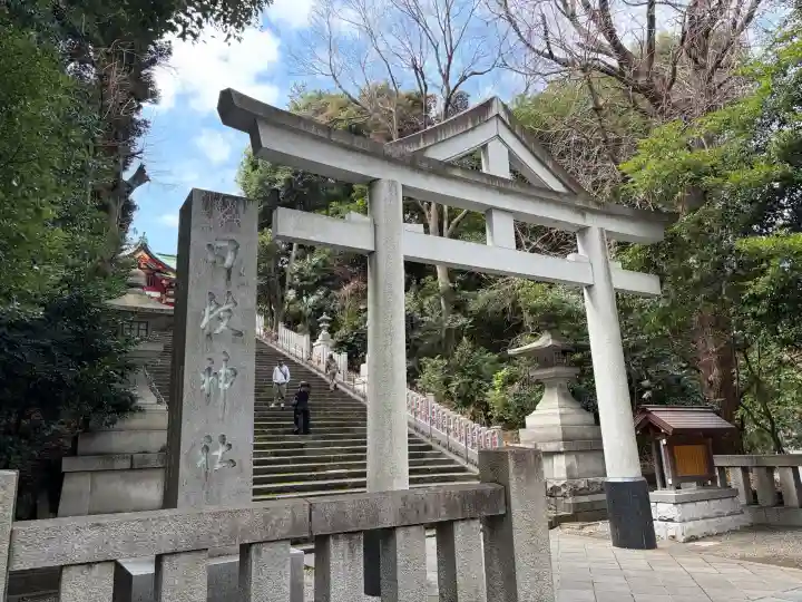 日枝神社の{uncategorized: "未分類", other: "その他", undefined: "問題あり", building: "その他建物", grave: "お墓", sacred_gate: "鳥居", guardian: "狛犬", statue: "像", buddha: "仏像", history: "歴史", nature: "自然", garden: "庭園", animal: "動物", pagoda: "塔", temizu: "手水舎", mountain_gate: "山門・神門", sanctuary: "本殿・本堂", subordinate: "末社・摂社", art: "芸術", scenery: "景色", jizo: "地蔵", ema: "絵馬", goshuin: "御朱印", omikuji: "おみくじ", items: "授与品その他", amulet: "お守り", goshuincho: "御朱印帳", eats: "食事", festival: "お祭り", votive_dance: "神楽", shichigosan: "七五三参", wedding: "結婚式", experience: "体験その他", initially: "初詣", around: "周辺", anti_infection: "感染症対策"}