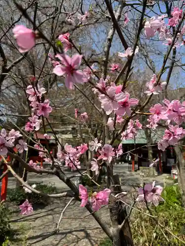冠稲荷神社(群馬県)