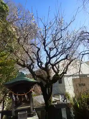 根岸八幡神社(神奈川県)