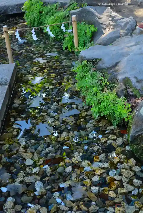 川越氷川神社(埼玉県)