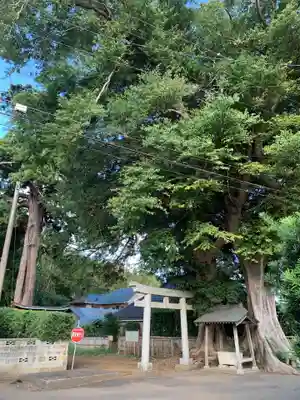 八幡大神(千葉県)