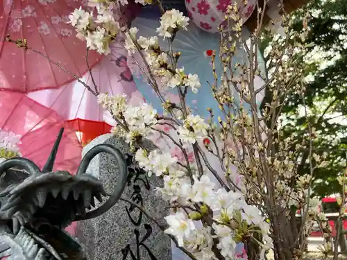 札幌諏訪神社の自然