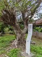 伊計神社(沖縄県)