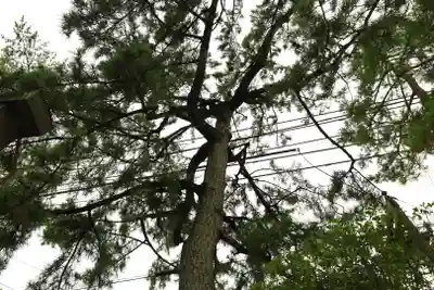 行田八幡神社(埼玉県)
