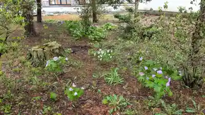 極楽寺の自然