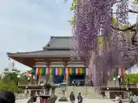 西新井大師総持寺の{uncategorized: "未分類", other: "その他", undefined: "問題あり", building: "その他建物", grave: "お墓", sacred_gate: "鳥居", guardian: "狛犬", statue: "像", buddha: "仏像", history: "歴史", nature: "自然", garden: "庭園", animal: "動物", pagoda: "塔", temizu: "手水舎", mountain_gate: "山門・神門", sanctuary: "本殿・本堂", subordinate: "末社・摂社", art: "芸術", scenery: "景色", jizo: "地蔵", ema: "絵馬", goshuin: "御朱印", omikuji: "おみくじ", items: "授与品その他", amulet: "お守り", goshuincho: "御朱印帳", eats: "食事", festival: "お祭り", votive_dance: "神楽", shichigosan: "七五三参", wedding: "結婚式", experience: "体験その他", initially: "初詣", around: "周辺", anti_infection: "感染症対策"}
