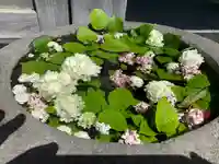 大聖護国寺(群馬県)