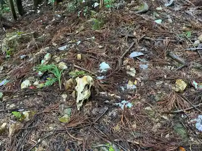 大水別神社(鉛練比古神社奥宮)(滋賀県)