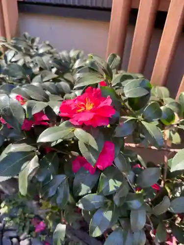 幸國寺の{uncategorized: "未分類", other: "その他", undefined: "問題あり", building: "その他建物", grave: "お墓", sacred_gate: "鳥居", guardian: "狛犬", statue: "像", buddha: "仏像", history: "歴史", nature: "自然", garden: "庭園", animal: "動物", pagoda: "塔", temizu: "手水舎", mountain_gate: "山門・神門", sanctuary: "本殿・本堂", subordinate: "末社・摂社", art: "芸術", scenery: "景色", jizo: "地蔵", ema: "絵馬", goshuin: "御朱印", omikuji: "おみくじ", items: "授与品その他", amulet: "お守り", goshuincho: "御朱印帳", eats: "食事", festival: "お祭り", votive_dance: "神楽", shichigosan: "七五三参", wedding: "結婚式", experience: "体験その他", initially: "初詣", around: "周辺", anti_infection: "感染症対策"}