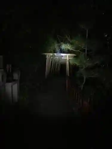 伏見稲荷大社(京都府)