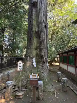 一言主神社(茨城県)
