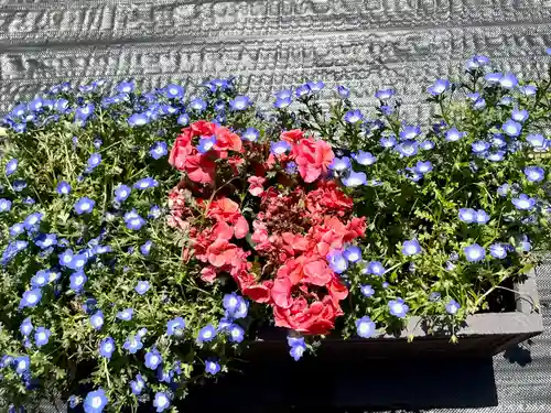 久富稲荷神社の自然