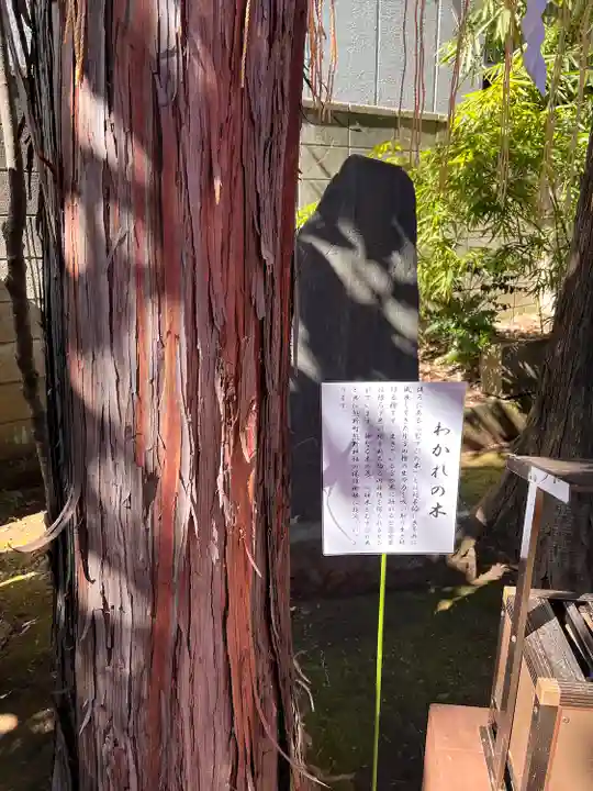 くまくま神社(導きの社 熊野町熊野神社)の自然