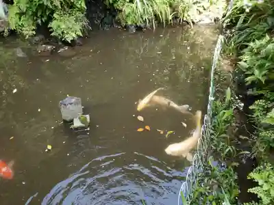 大綱金刀比羅神社(神奈川県)