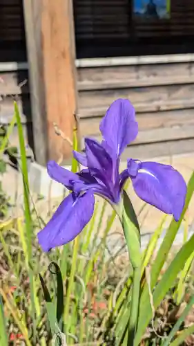 高田寺(京都府)