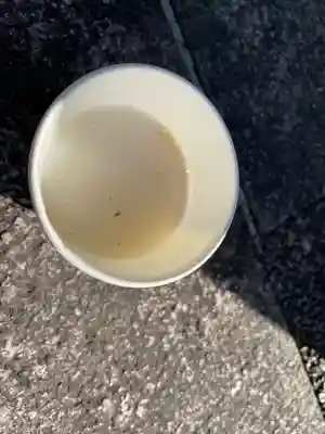 金神社(岐阜県)