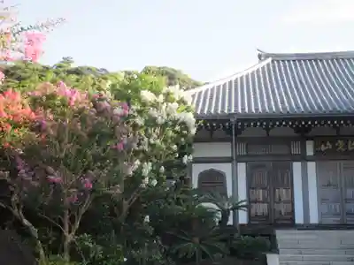 長谷寺(神奈川県)