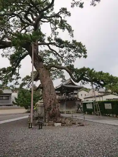 大慶寺のその他建物