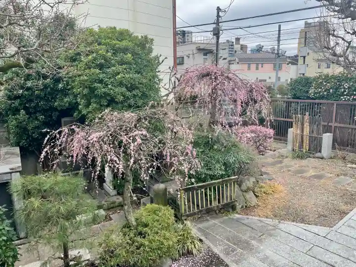 常泉寺の{uncategorized: "未分類", other: "その他", undefined: "問題あり", building: "その他建物", grave: "お墓", sacred_gate: "鳥居", guardian: "狛犬", statue: "像", buddha: "仏像", history: "歴史", nature: "自然", garden: "庭園", animal: "動物", pagoda: "塔", temizu: "手水舎", mountain_gate: "山門・神門", sanctuary: "本殿・本堂", subordinate: "末社・摂社", art: "芸術", scenery: "景色", jizo: "地蔵", ema: "絵馬", goshuin: "御朱印", omikuji: "おみくじ", items: "授与品その他", amulet: "お守り", goshuincho: "御朱印帳", eats: "食事", festival: "お祭り", votive_dance: "神楽", shichigosan: "七五三参", wedding: "結婚式", experience: "体験その他", initially: "初詣", around: "周辺", anti_infection: "感染症対策"}