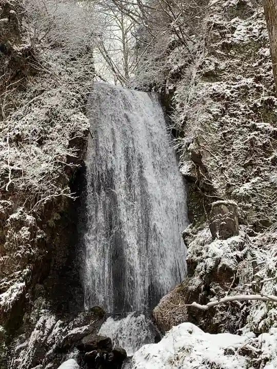 桜松神社の自然