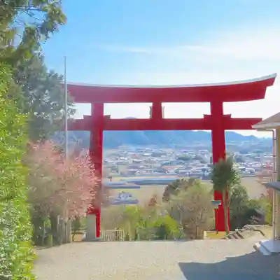 甲八幡神社の鳥居