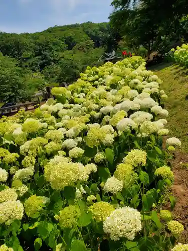 陽林寺(福島県)