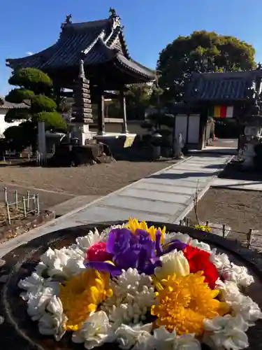 真言宗　善通寺派　薬王寺(香川県)