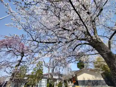 諏訪神社(宮城県)